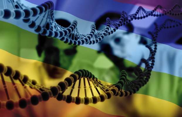  Homossexualidade masculina pode estar ligada a suposto “gene gay”, sugere estudo