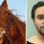 homem-cavalo-pheeno-capa