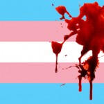 bandeira-trans-sangue-pheeno-capa