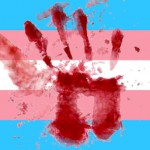 ico_bandeira_trans-pheeno-capa