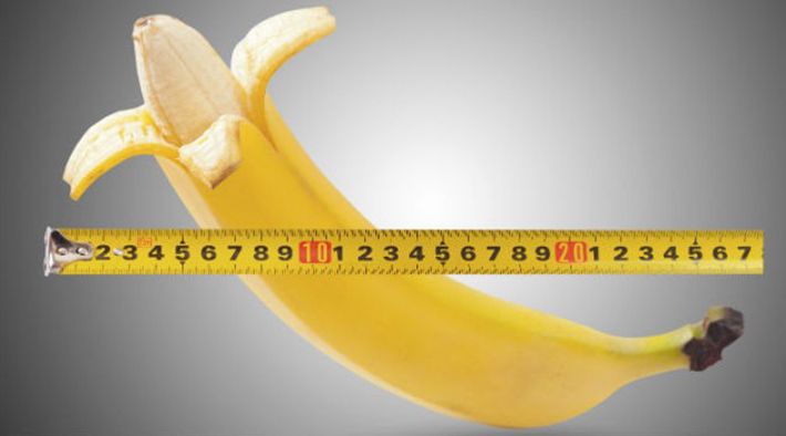 Pênis dos sonhos! Pesquisadores descobrem o tamanho e largura do pênis ideal