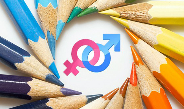 STF suspende lei que proibia ensino sobre gênero nas escolas do Paraná