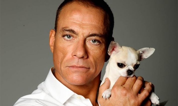 Jean-Claude Van Damme causa polêmica ao comparar casamento gay a cachorros