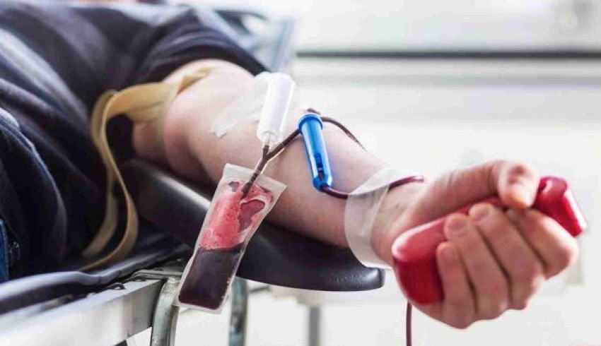  Ativistas LGBT+ organizam em Natal 1ª doação coletiva de sangue