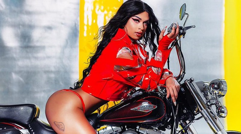 lia-album-pheeno-capa