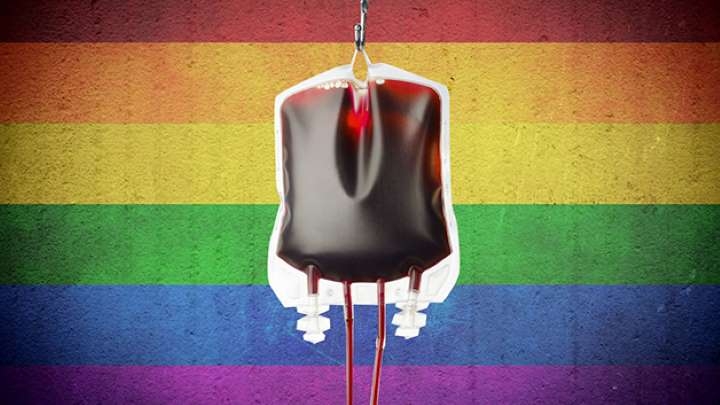  Em decisão histórica, STF derruba restrição de doação de sangue por LGBTs no Brasil
