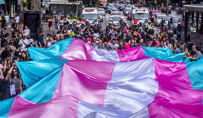  Assassinatos de pessoas trans voltam a subir em 2020, aponta relatório divulgado pela ANTRA