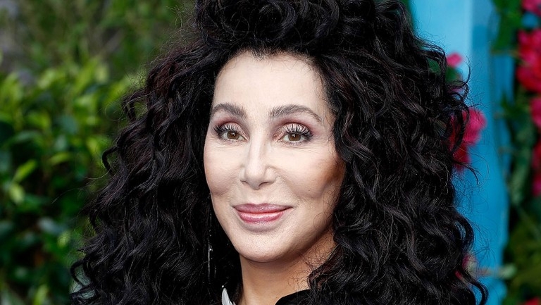  Cher recebe meme dela mesma de amiga e compartilha no Twitter: “Bom, ao menos eu acho que ela é minha amiga”