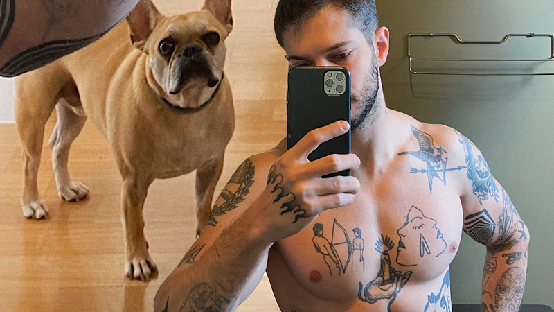  Hot! Cachorro de Federico DeVito fica chocado com selfie peladão no espelho