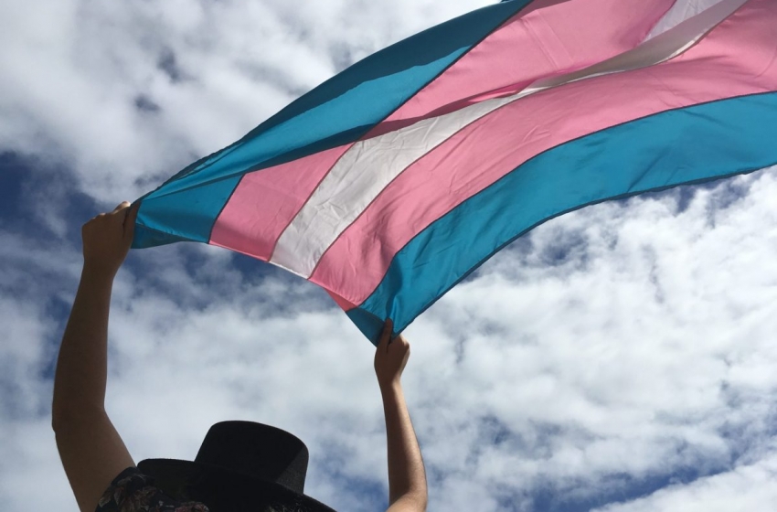  Argentina adota cota para trans e travestis no serviço público