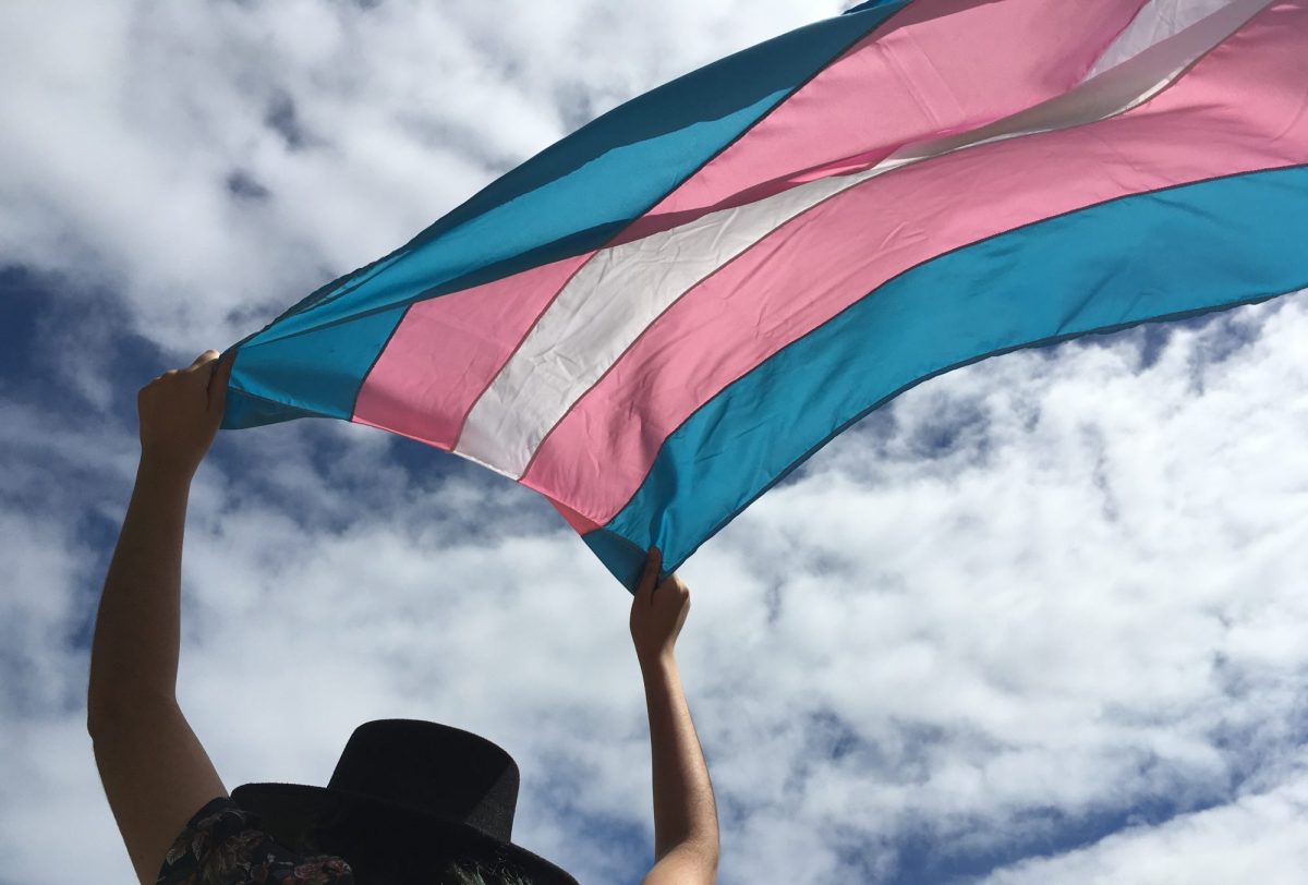Argentina adota cota para trans e travestis no serviço público