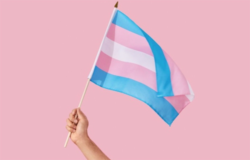  Projeto de lei garante nome social de pessoas trans em lápides e atestados de óbito no Distrito Federal
