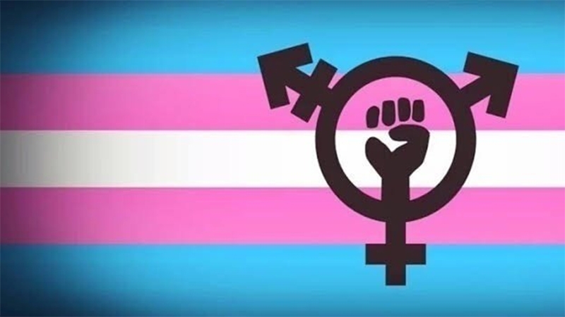  Júri condena em 16 anos e 9 meses por feminicídio homem que matou transexual a pauladas em São Paulo
