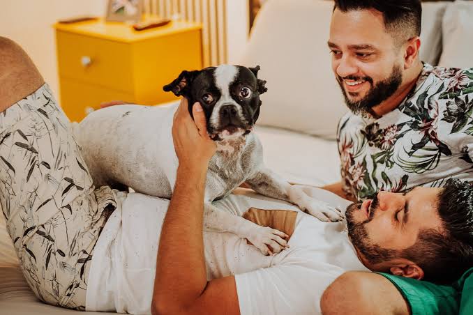 Gays preferem pets à crianças contra solidão, revela estudo