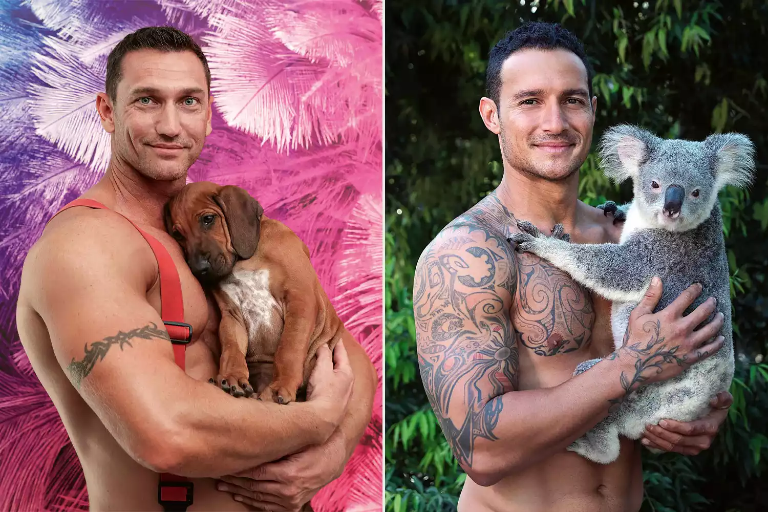 Calendário dos bombeiros australianos 2024 vem com gatinhos, coalas e filhotes