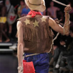 ovelhas-pheeno-capa-7