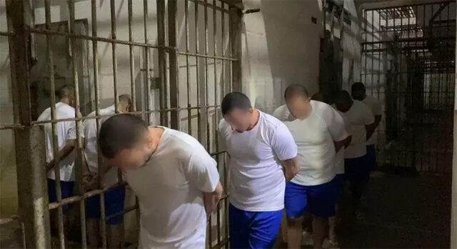 presidio-pheeno-capa