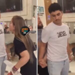 servidora-pheeno-capa