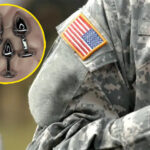 soldados-pheeno-capa