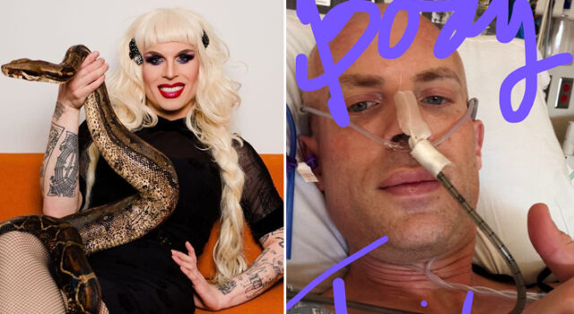 Lenda de RuPaul’s Drag Race, Katya Zamolodchikova preocupa fãs ao surgir em leito de hospital: “Todo mundo morre”