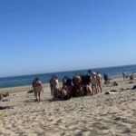 Vilarejo naturista mais famoso do mundo vira reduto de swing e muda completamente o perfil do destino