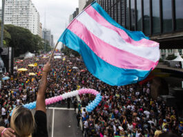 “Violência vira rotina”: pesquisa revela naturalização de agressões contra mulheres trans e travestis no Brasil