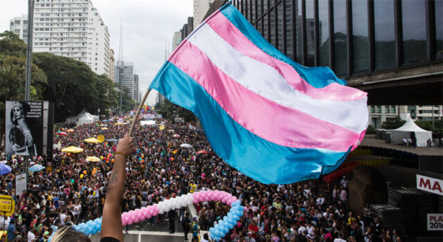“Violência vira rotina”: pesquisa revela naturalização de agressões contra mulheres trans e travestis no Brasil