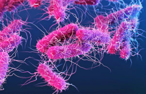 Shigella: Bactéria que provoca disenteria com sangue avança entre homens e desafia tratamentos com antibióticos