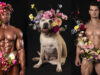 Peitorais, flores e focinhos: homens sem camisa e cães resgatados estrelam calendário sensual em prol da adoção animal