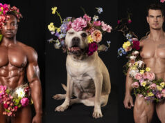 Peitorais, flores e focinhos: homens sem camisa e cães resgatados estrelam calendário sensual em prol da adoção animal