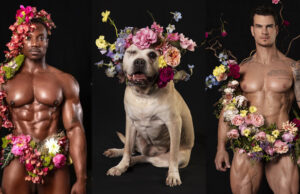 Peitorais, flores e focinhos: homens sem camisa e cães resgatados estrelam calendário sensual em prol da adoção animal
