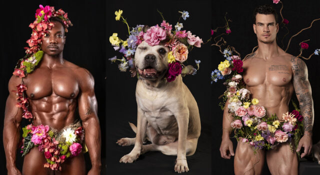 Peitorais, flores e focinhos: homens sem camisa e cães resgatados estrelam calendário sensual em prol da adoção animal